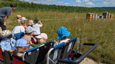 Die Gelben Zwerge bewundern das Zuhause der Bienen. (Bild: Kitas der Stadt Kemnath)