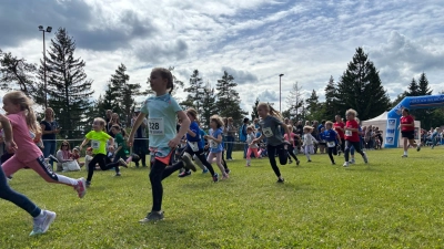 Grosses Teilnehmerfeld beim 25. Wiesenlauf des SK Fürnried (Bild: Jennifer Härlein)