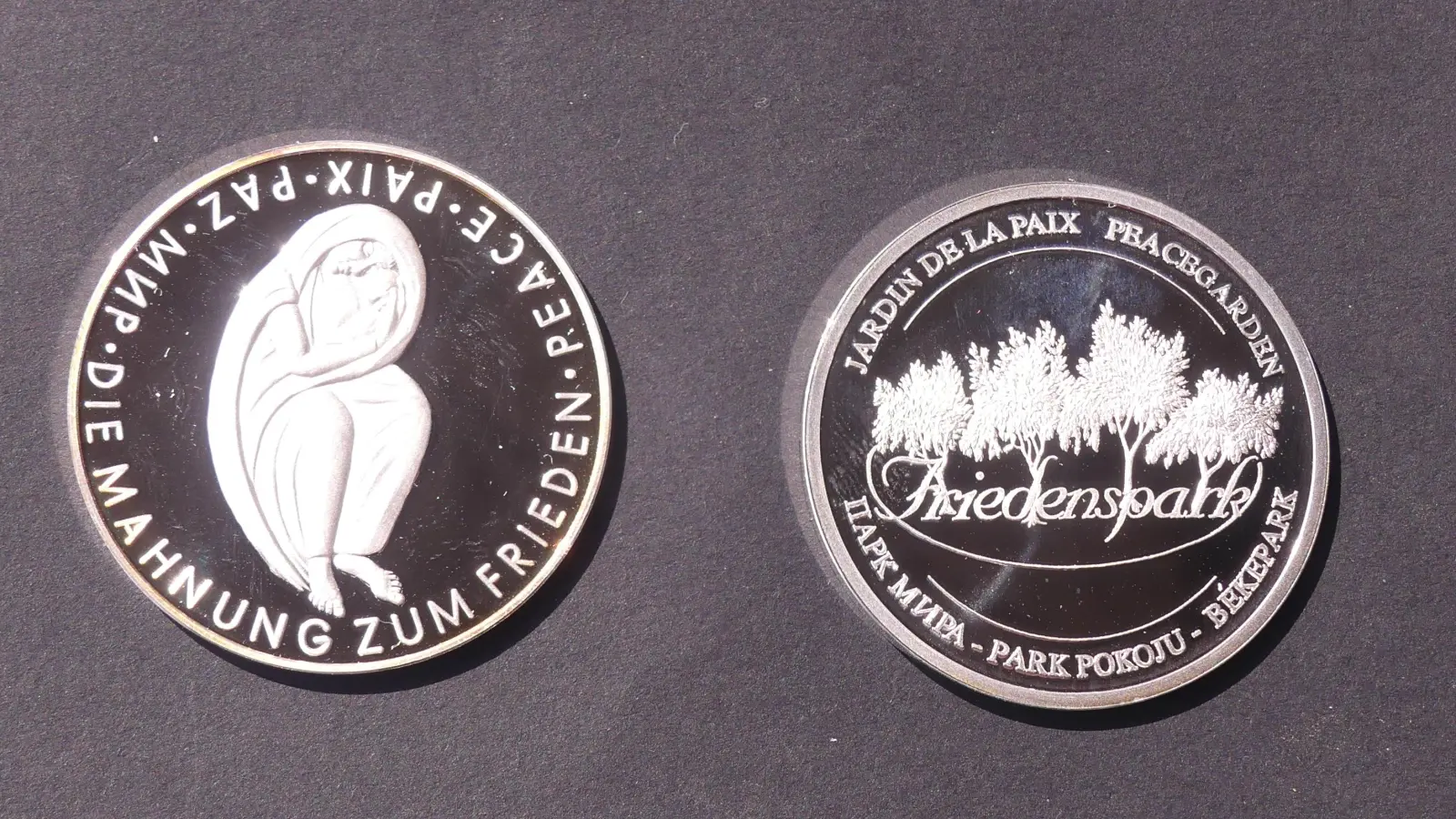 Mit diesen Medaillen sprach der VDK der Reservistenkameradschaft seine Anerkennung für die Mitwirkung am völkerverbindenden Dienst aus.  (Bild: Walther Hermann)