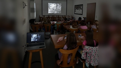 Gespannt verfolgten die Kinder die Filme auf der Leinwand. (Bild: Josef Söllner)