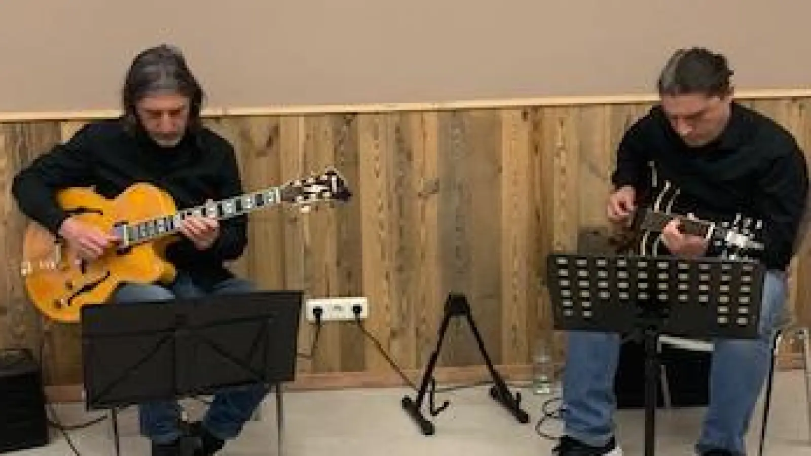 Syrus und Darius Saleki umrahmten die Jahreshauptversammlung der Freunde der Kunst (Bild: Elfriede Weiß)