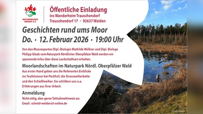 Moorlandschaft im Nordwesten von Weiden (Bild: Herbert Schmid)