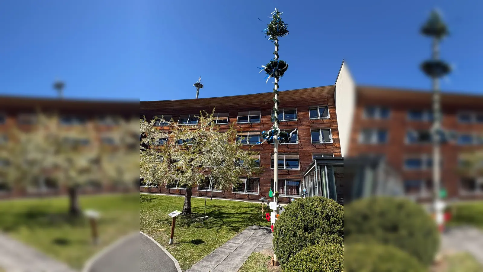 Der Maibaum im „Haus Mühlbühl” wurde aufgestellt. (Bild: Thomas Schrems)