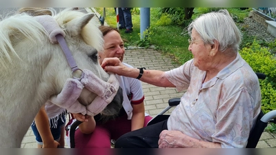 Eine Seniorin begrüßt das Pony Jimmy (Bild: Eveline Gerstl-Seidl)