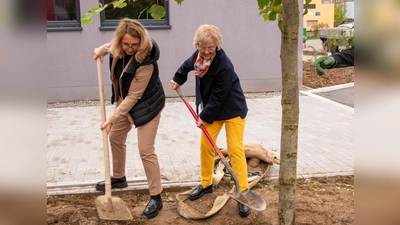 Rektorin Frau Merther und Fördervereinsvorsitzende Frau Langhammer pflanzen den Schulbaum. (Bild: Nina Uhl)
