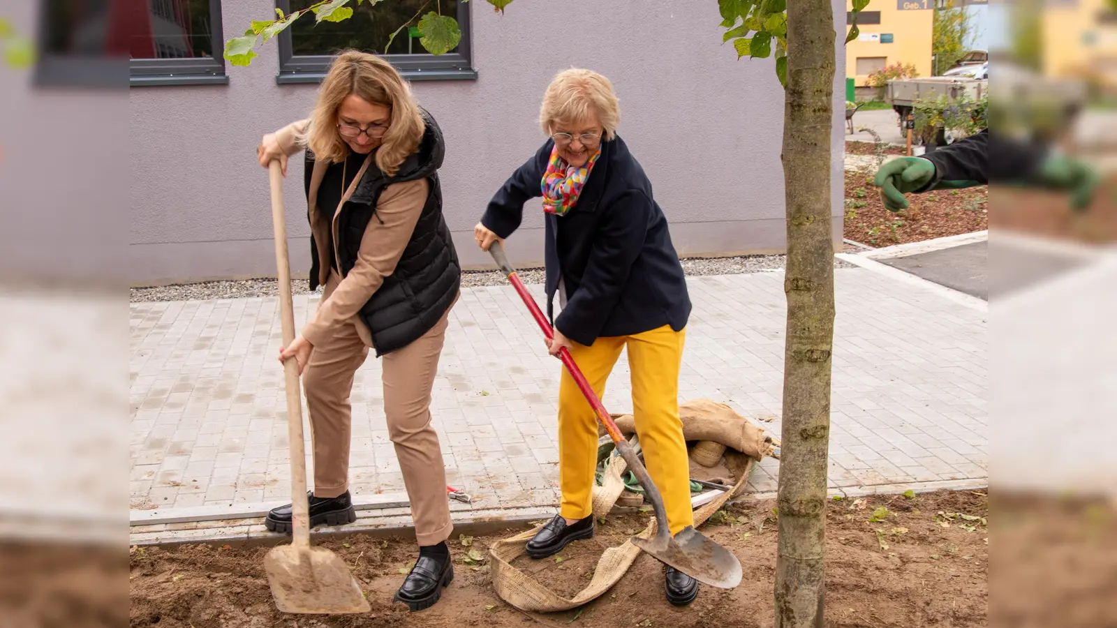 Rektorin Frau Merther und Fördervereinsvorsitzende Frau Langhammer pflanzen den Schulbaum. (Bild: Nina Uhl)