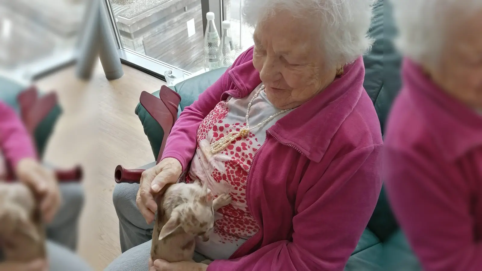 Liebevoll kümmerten sich die Bewohnerinnen und Bewohner um die kleinen Vierbeiner. (Bild: Andrea Romeike)