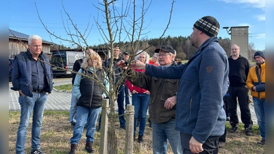 Markus Fuchs vom LRA Amberg-Sulzbach zeigt den richtigen Schnitt. (Bild: Christian Wiesneth)