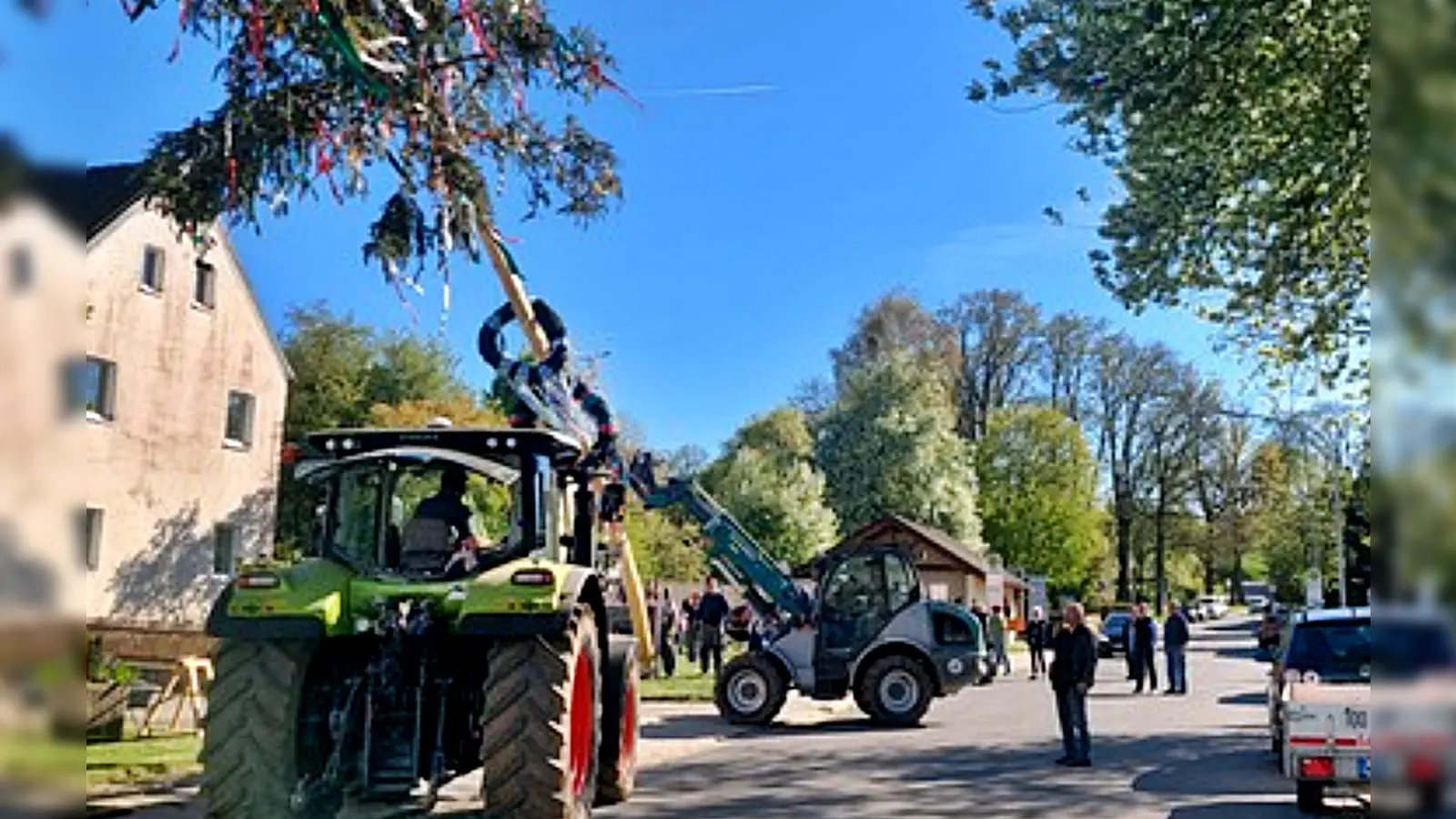 Am Vormittag holten Mitglieder des Schnupferclubs Latsch den Baum noch aus dem Wald, am Nachmittag stellten sie nach dem Abschälen der Rinde den Baum in die Senkrechte. (Bild: Markus Pschierer)