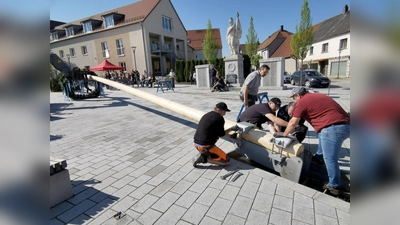 Hand in Hand stellten Mitglieder der FFW, des SPD-Ortsvereins und vom Bauhof den Maibaum auf. (Bild: Karl Ziegler)