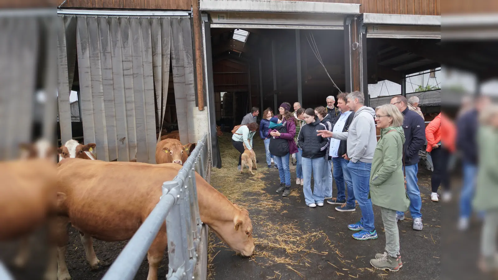 Ein Highlight des HU - Treffens ist die Hofführung am Biohof Schaller in Bibershof. (Bild: Franz Völkl)