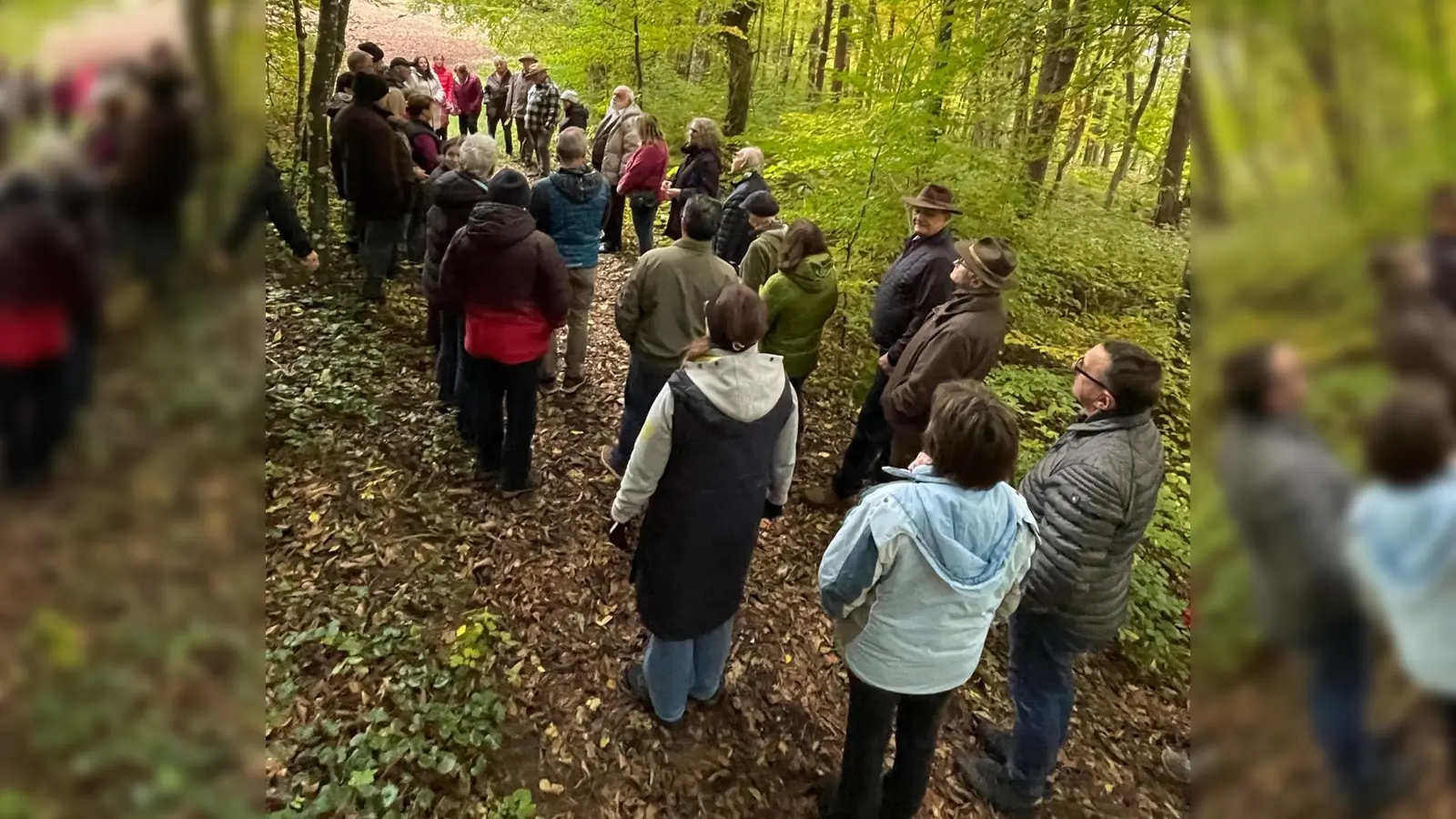 Hören, Riechen, Fühlen, Sehen-entspannen (Bild: Hans Reiser)