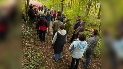 Hören, Riechen, Fühlen, Sehen-entspannen (Bild: Hans Reiser)