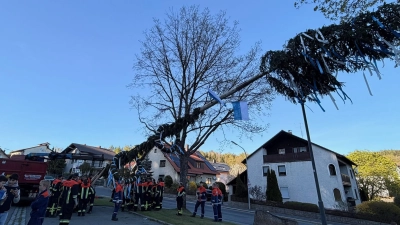 Die aktiven Mitglieder der Flossenbürger Wehr, stellen den Maibaum auf. (Bild: Angelina Stark)
