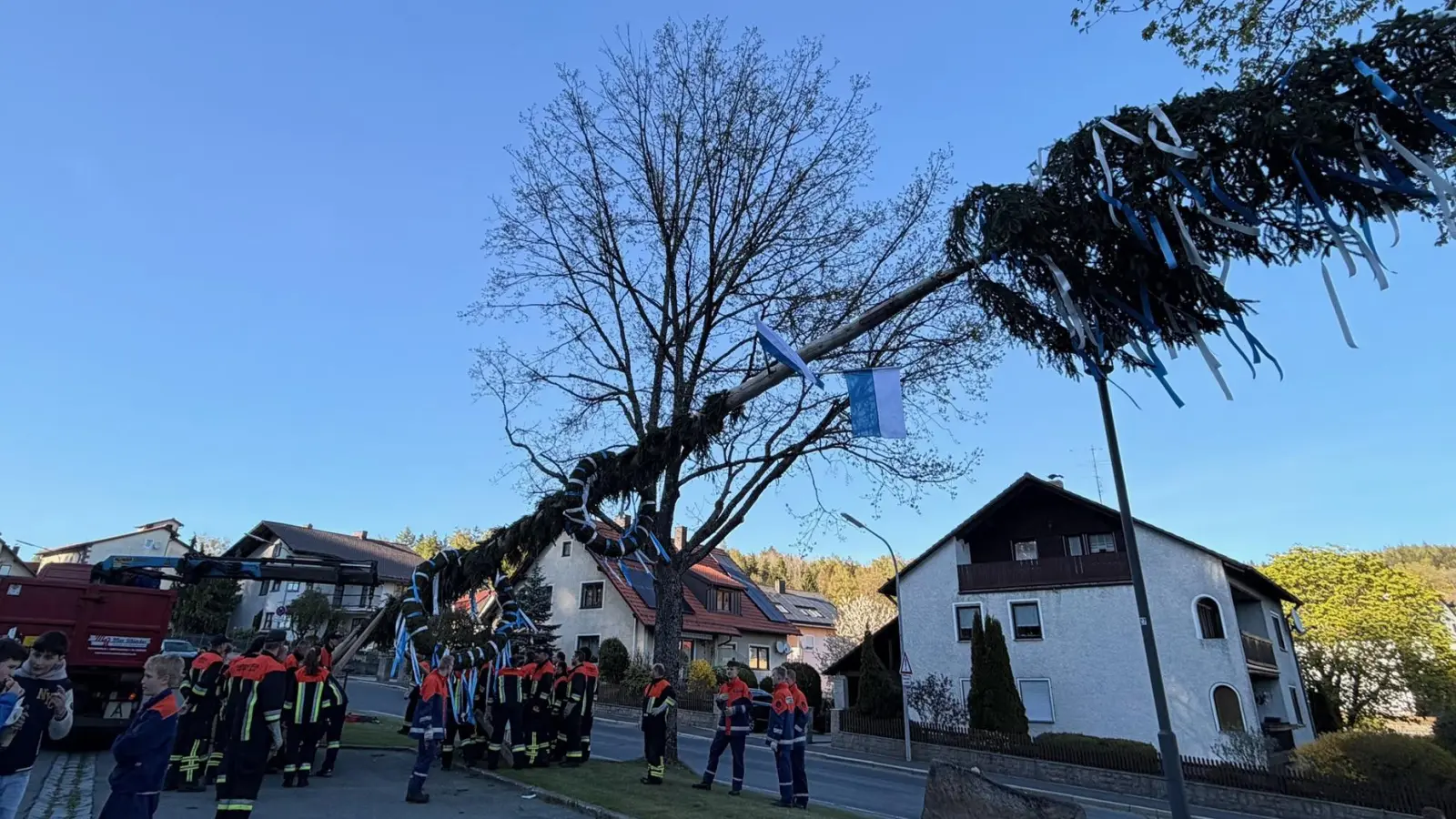 Die aktiven Mitglieder der Flossenbürger Wehr, stellen den Maibaum auf. (Bild: Angelina Stark)