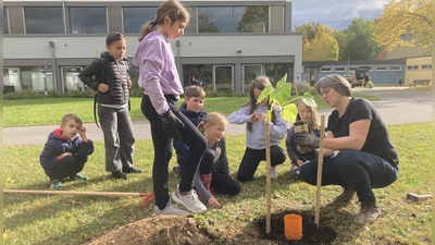 Im Pausenhof der Albert-Schweitzer-Schule pflanzten die Kinder Kiribäume, die bis zu zehn Meter hoch werden. (Bild: Marion Weigl/exb)