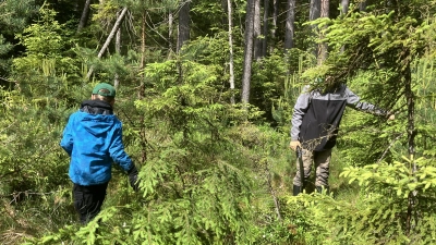 Waldjugend beim Ausschneiden der Fichten im Moor. (Bild: Walter Seltmann)