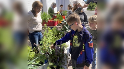 Begutachten, fachsimpeln, auswählen - und später zu Hause einpflanzen: das war bei der Etzenrichter Pflanzentauschbörse gefragt (Bild: Gabriela Bäumler)