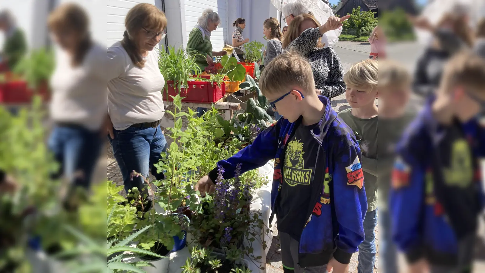 Begutachten, fachsimpeln, auswählen - und später zu Hause einpflanzen: das war bei der Etzenrichter Pflanzentauschbörse gefragt (Bild: Gabriela Bäumler)