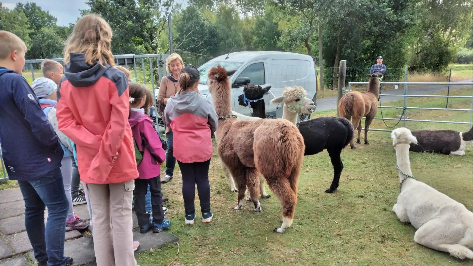 Frau Berta Frank (Mitte) bei der Vorstellung der Lamas und Alpakas (Bild: Werner Hahn)