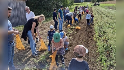 Die Kinder waren beim Kartoffelernten mit Begeisterung dabei. (Bild: Josef Söllner)
