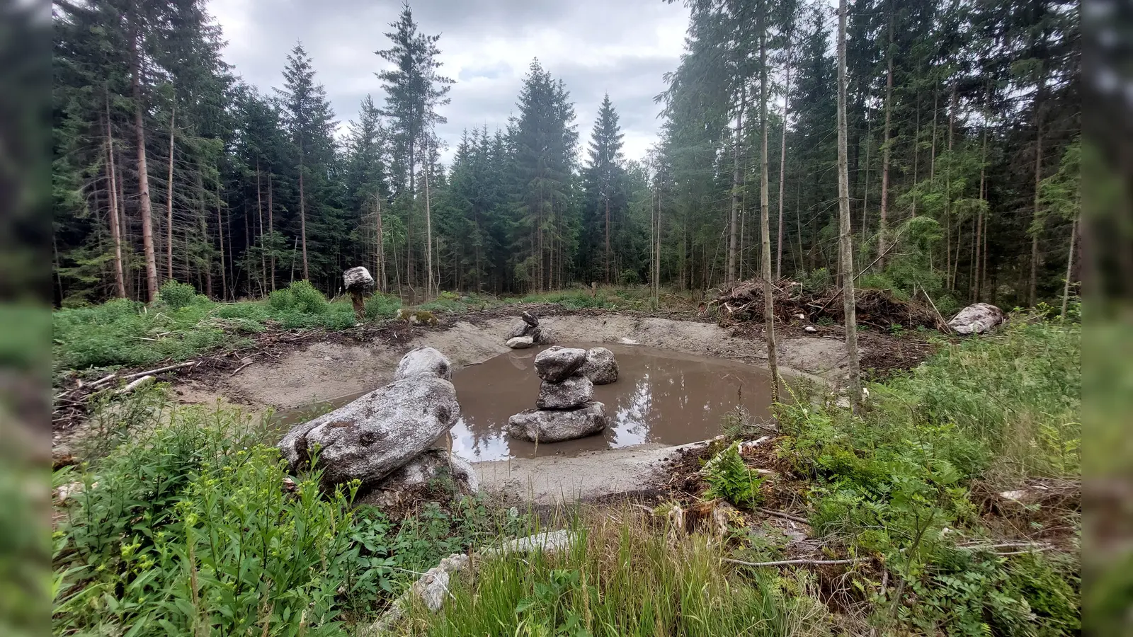 Im Frühjahr neu angelegter Tümpel (Bild: Doris Burger)