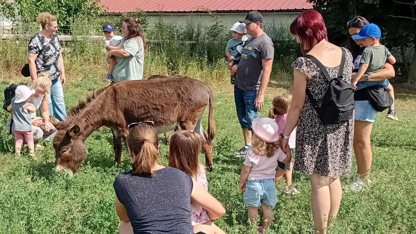 Kinder und Esel genossen die gemeinsame Zeit. (Bild: Krauthahn Barbara)