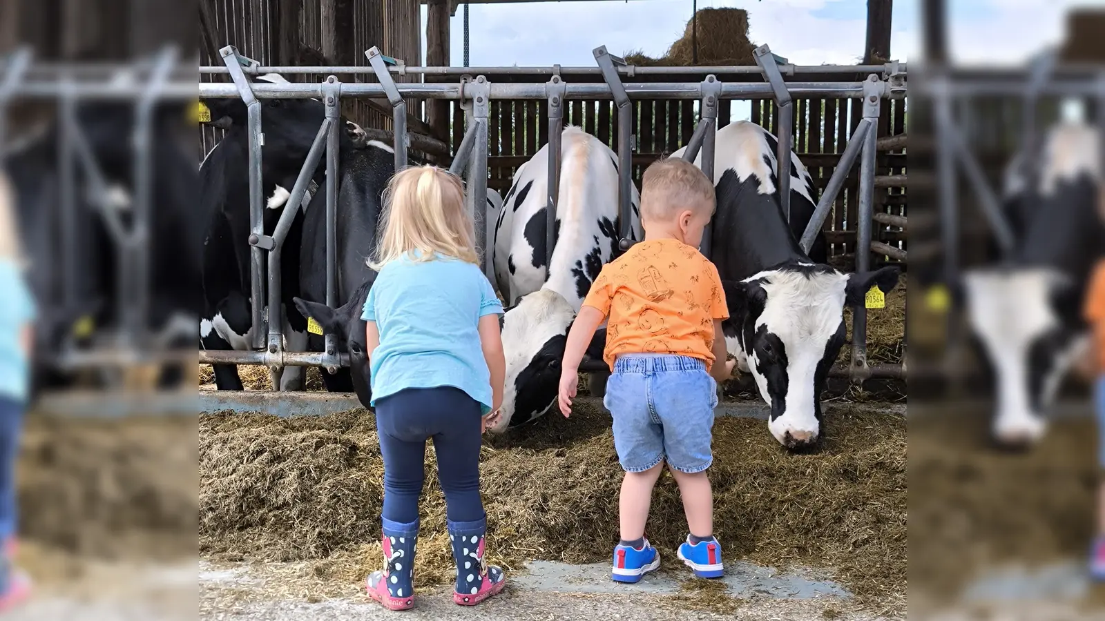 Für die Kinder war es besonders beeindruckend die Kühe in Echt zu sehen (Bild: Matthias Walk)