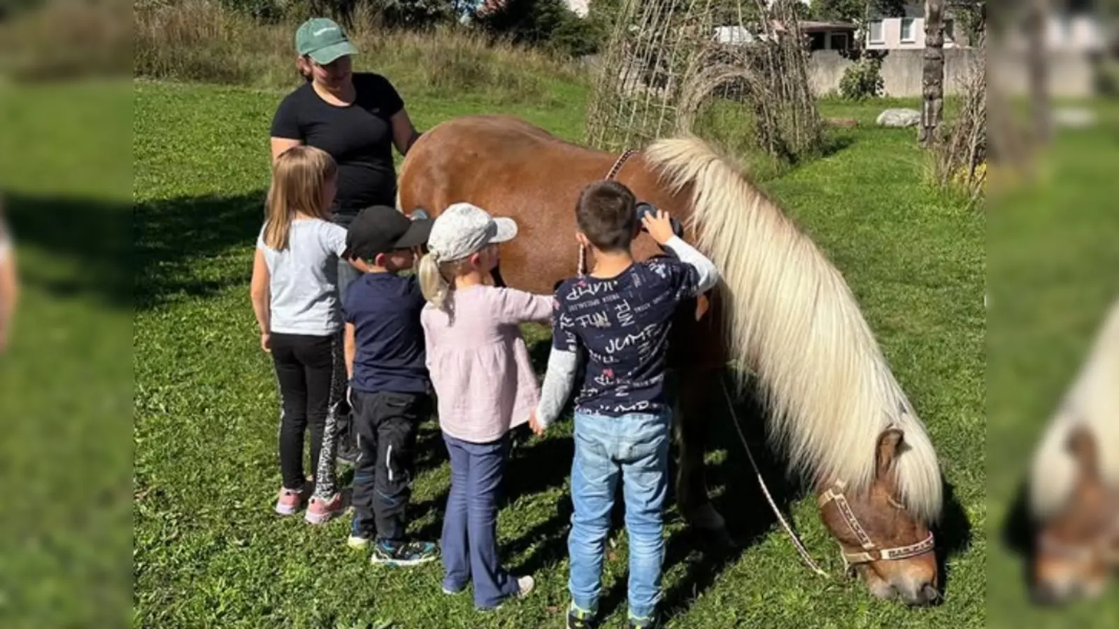 Die Kinder putzen mit Striegel und Kardätsche Dagfari, der sich das Gras im Garten des Kinderhauses St. Barbara schmecken lässt. (Bild: Andrea Stadler)