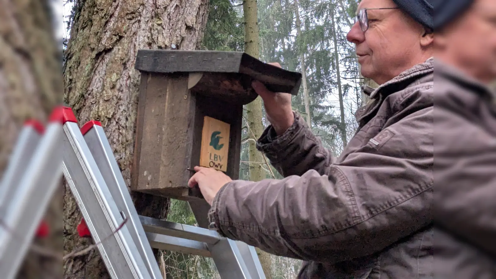 Gerhard Reichl bei Montage der Nistkästen (Bild: Verena Bauer)