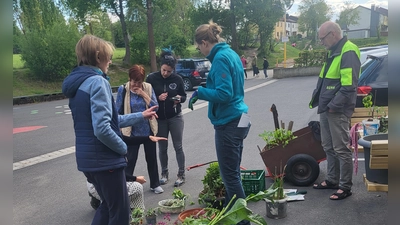 Bei der Pflanzentauschbörse wurde nicht nur getauscht, die Gartenfreunde gaben sich auch gegenseitig wertvolle Tipps zu Tomaten und Co. (Bild: Ute Döhler)