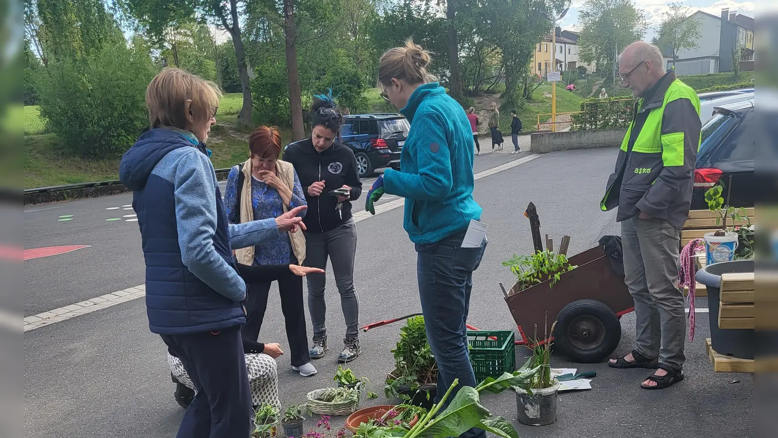 Bei der Pflanzentauschbörse wurde nicht nur getauscht, die Gartenfreunde gaben sich auch gegenseitig wertvolle Tipps zu Tomaten und Co. (Bild: Ute Döhler)