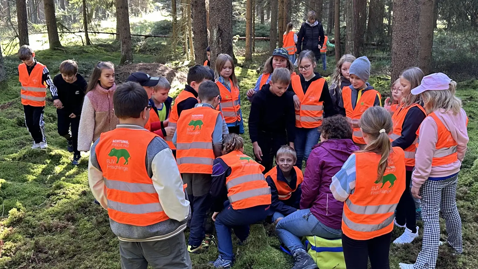 Spiel Fütterung der Ameisenkönigin (Bild: Erika Grötsch)