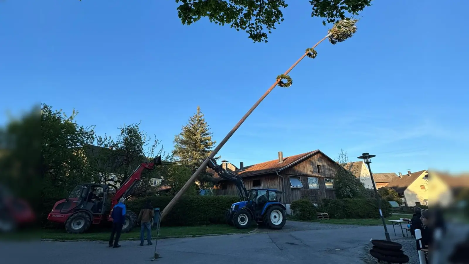 2 Traktoren stellen binnen 3 Minuten den 31 Meter langen Maibaum auf der nun die Ortschaft Mallersricht krönt. (Bild: Saskia Zupfer)