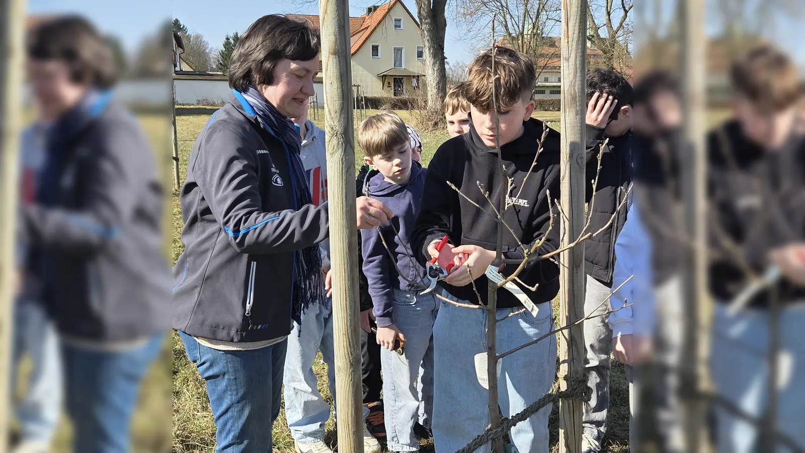Die Schüler konnten beim Obstbaumschnitt auch selbst Hand anlegen. (Bild: Barbara Strenge)