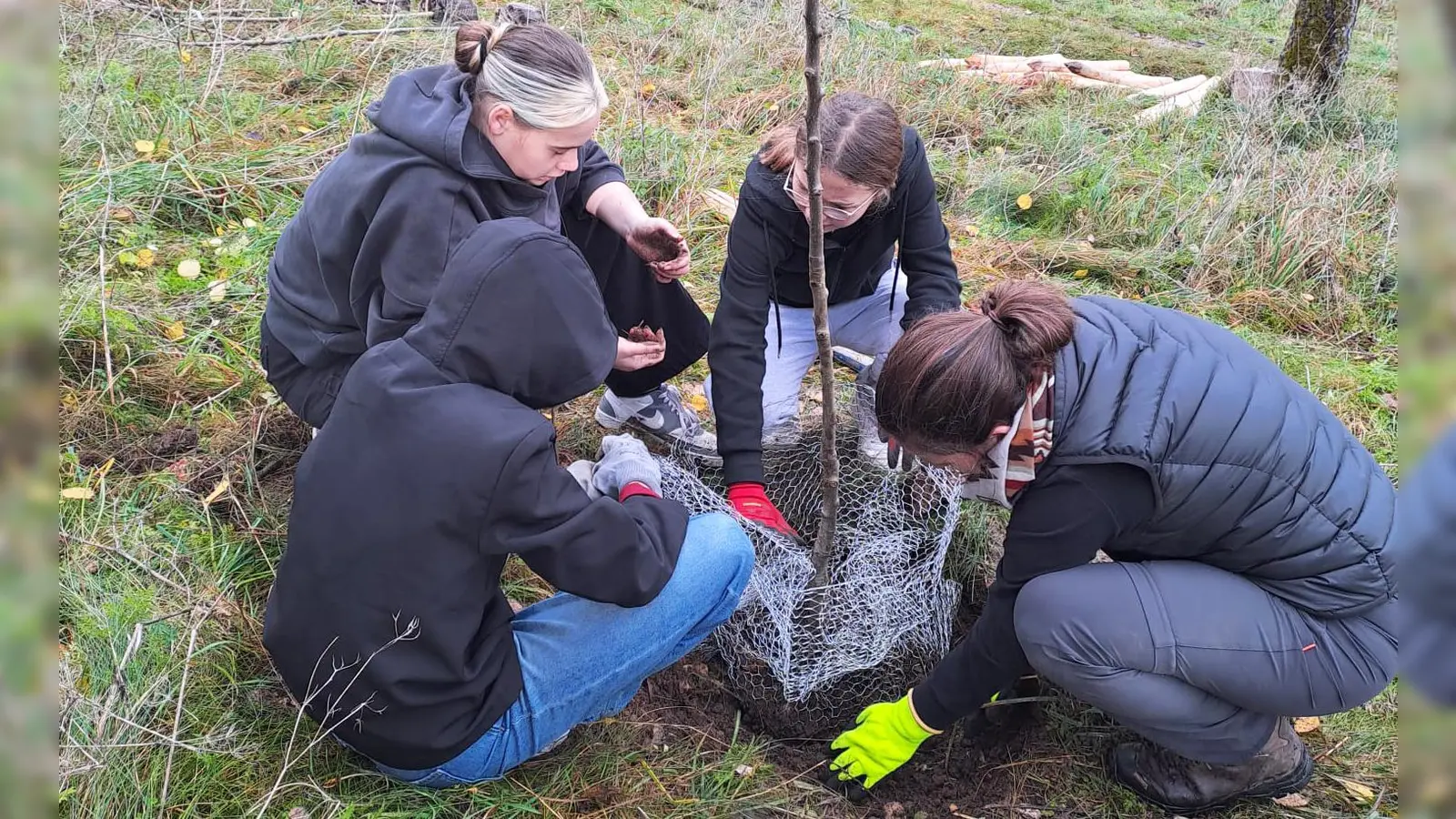 Schülerinnen und Schüler der Mittelschule Ensdorf pflanzten Obstbäume auf der Streuobstwiese des Klosters Ensdorf. (Bild: Anita Pedall)
