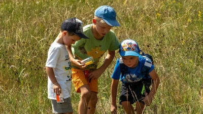 Kinder fangen kurzzeitig mit der Becherlupe Heuschrecken, um die Art zu bestimmen. (Bild: Ernst Luber)