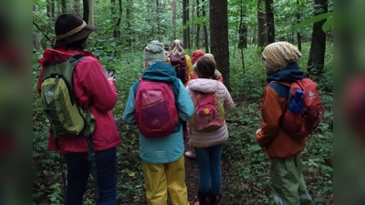 Auf der Suche nach dem Waldgeistern (Bild: Doris Boesen)
