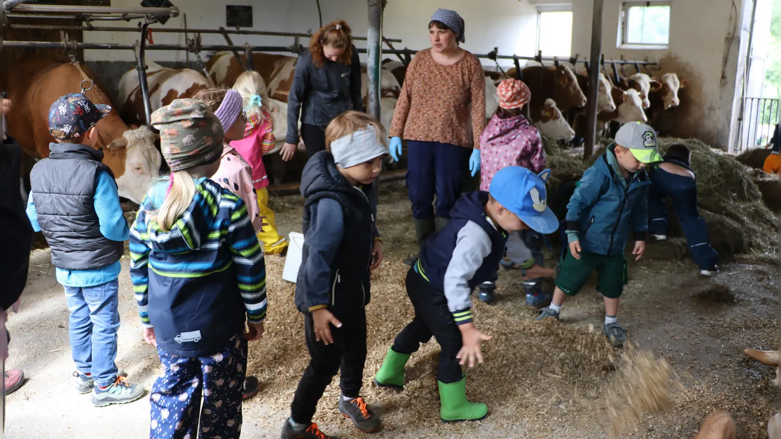 Manuela Hollweg umringt von Kindergartenkindern und den Kühen (Bild: Rudi Gruber)