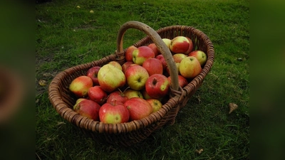 Egal ob Äpfel, Birnen oder Quitten – einfach eigenes Obst mitbringen und eigenen, frischen Saft genießen. (Bild: Sabine Krzikalla auf Pixabay)