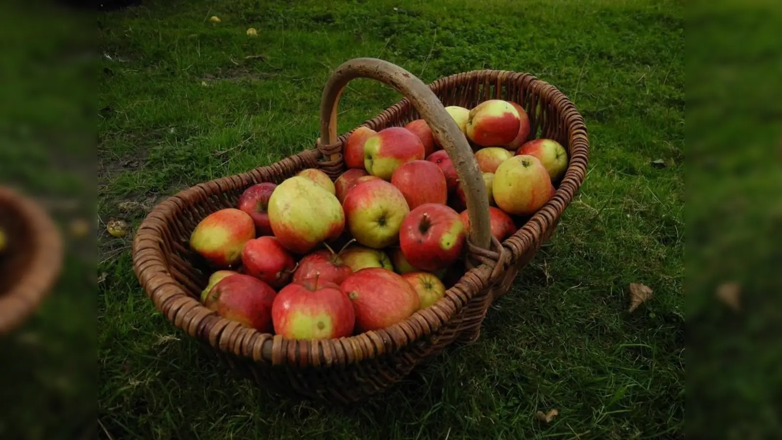 Egal ob Äpfel, Birnen oder Quitten – einfach eigenes Obst mitbringen und eigenen, frischen Saft genießen. (Bild: Sabine Krzikalla auf Pixabay)
