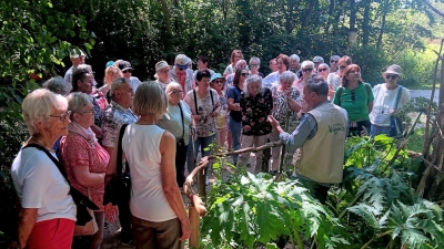 Teilnehmer des AWO‑Ortsvereins Störnstein verfolgen aufmerksam den Ausführungen des Wildgarten‑Führer, der Pflanzen erklärt und Tiere aus der Region präsentiert. (Bild: Johann Völkl)