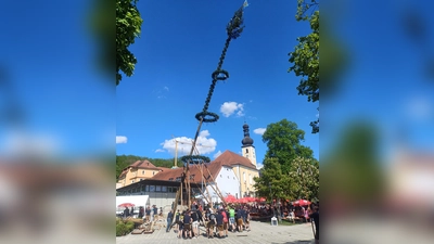 Zahlreiche Helfer stellten mit viel Muskelkraft bei herrlichstem Wetter den Maibaum auf dem Dorfplatz in Wolfring auf.  (Bild: Franz Ziegelmeier)