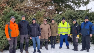 Gemeinsam anpacken: Das Helferteam der Christbaumsammlung in Waidhaus vor den eingesammelten Christbäumen. (Bild: Josef Kleber)