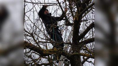 Baumschnittkurs des OGV Kulmain mit Baumwart Patrick Schön. (Bild: Christina Kastner)