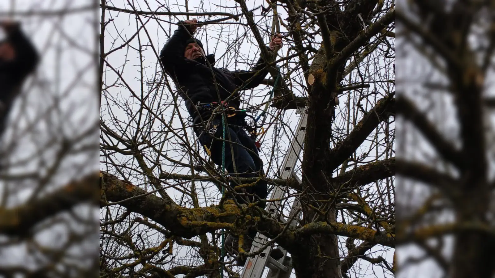 Baumschnittkurs des OGV Kulmain mit Baumwart Patrick Schön. (Bild: Christina Kastner)