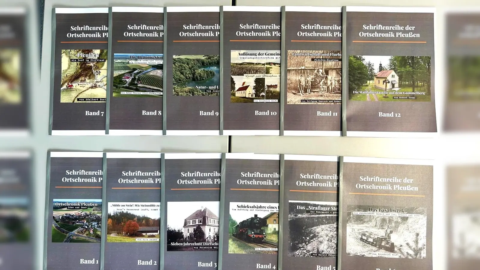 Adalbert Busl erläuterte an früheren Flurkarten die damaligen Umstände in der Landwirtschaft. Harald Seitz stellte die 12 Bändchen einer neuen Reihe der Pleußener Ortschronisten vor. (Bild: Friedrich Wölfl)