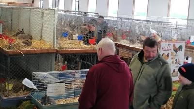 Viele Besucher waren übers Wochenende bei der Lokalschau des KTZV Oberviechtach. (Bild: Philipp Schlagenhaufer)