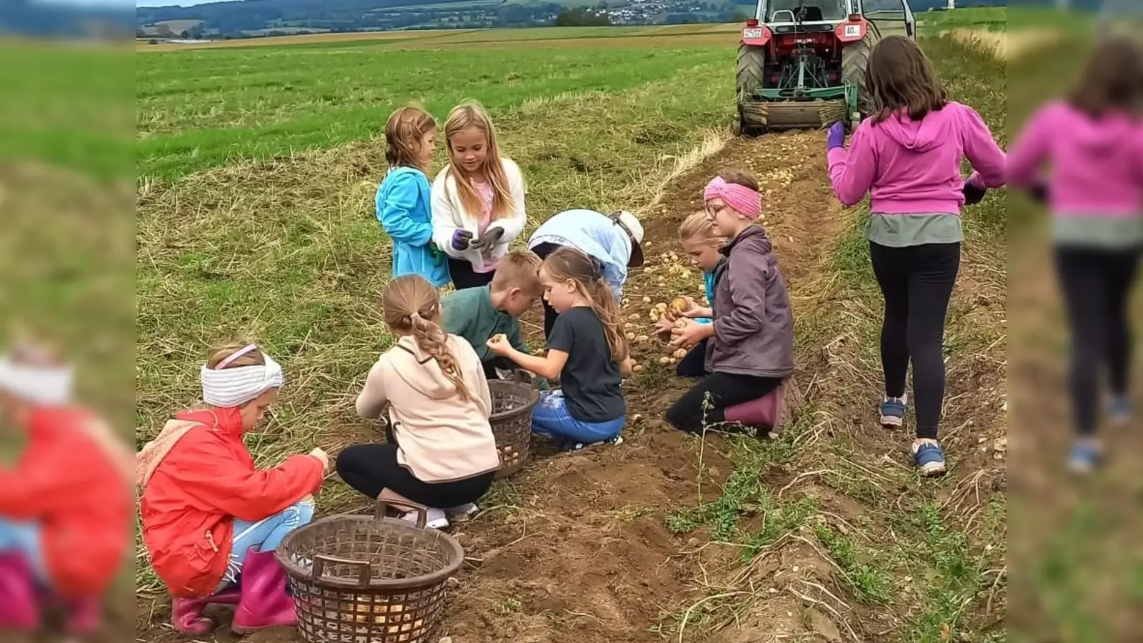 Fleißig sammelten die Ferienkids Erdäpfel in ihren Korb. (Bild: Erika Zenk)