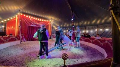 Circus Rocky „Kindertraum“ gastiert im August in mehreren Orten der Region. (Bild: Jonny Schubert)